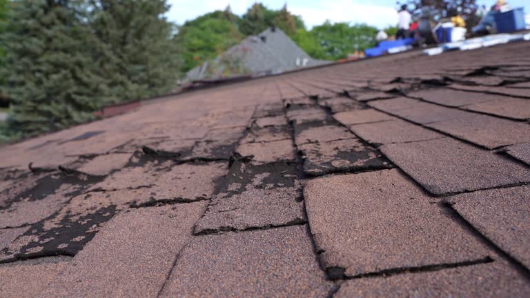 Fast & Reliable Emergency Roof Repairs in Munford, TN